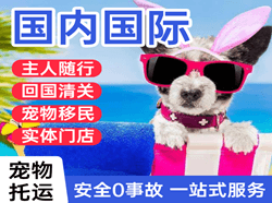 塔城千泉空运地址国际宠物托运 【国